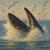SeaLifeLove