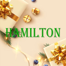 Hamilton Name T-Shirt