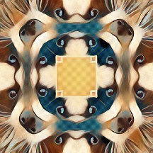digital image
