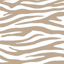 Motifs & Design
