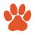 ClemsonTailgatingFan