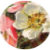 Delyn_Creates