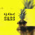 All About Sass