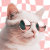 EvaDesignLab