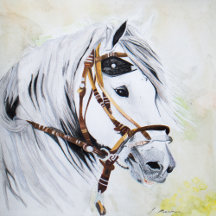Jim The Horse