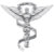 Chiropractic Gifts Galore!
