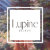 Lupine Print Co
