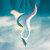 Vincent_Baurens