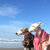 #whippetsonatrip