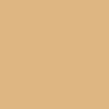 Solid Beige Brown Color   Hex# DEB681