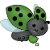 Tea Bug