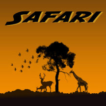 Safari