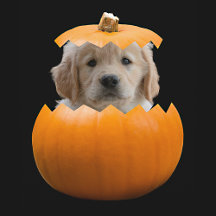 Custom Halloween Gear About Your Dog