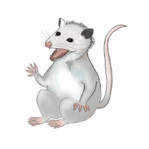 Poppy The Porch Possum