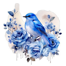 Birds of a Feather