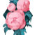 InStyleDesignArt