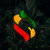 Rasta University