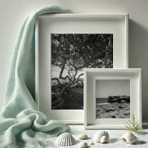 Photography by Victoria Grigaliunas 2b