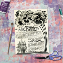 Vintage Farming Advertisements -Farming
