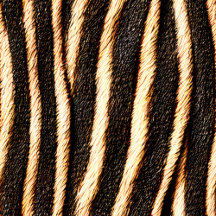 Des motifs imitant des fourrures