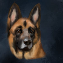 Pet Portraits