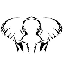 Minimalist design