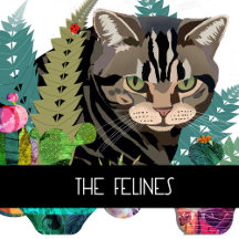 THE FELINES