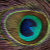 Imagin_art