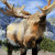 Leslie Harlow Designs Mountain Cabin Decor