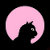 FelineDesign Co