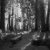 Blank_Space