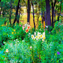 My Rubio Garden Sunrise with Tree Lilies
