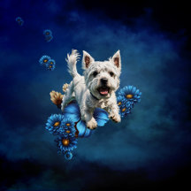 Sweet little West Highland