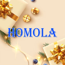 Homola_Name T-Shirt