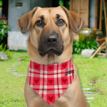 Dog Bandana Collars - Large