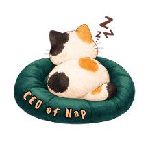 CEO of Nap