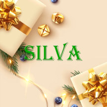 Silva Name T-Shirt