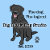BigBlackDogStudio