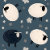 Steph Nericcio Design