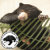 TheBorneanSunBear