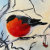 Paintmeplus