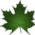 NorthernMaple