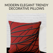 Modern Elegant Trendy Decorative Pillows