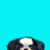 Digital_Dawg_Designs