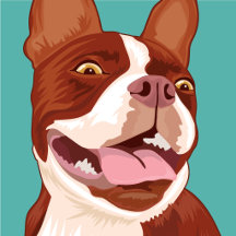 HANK
