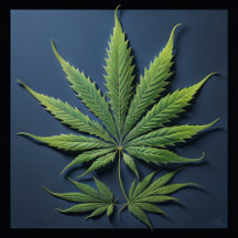 Cannabis Culture 