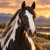 PDD_Horse_World