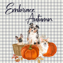 Embrace Autumn Collection