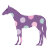 The Painting Pony Gift Shop at Zazzle