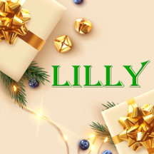 Lilly Name T-Shirt